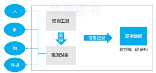 数据服务分类概述及其在数据处理中的应用